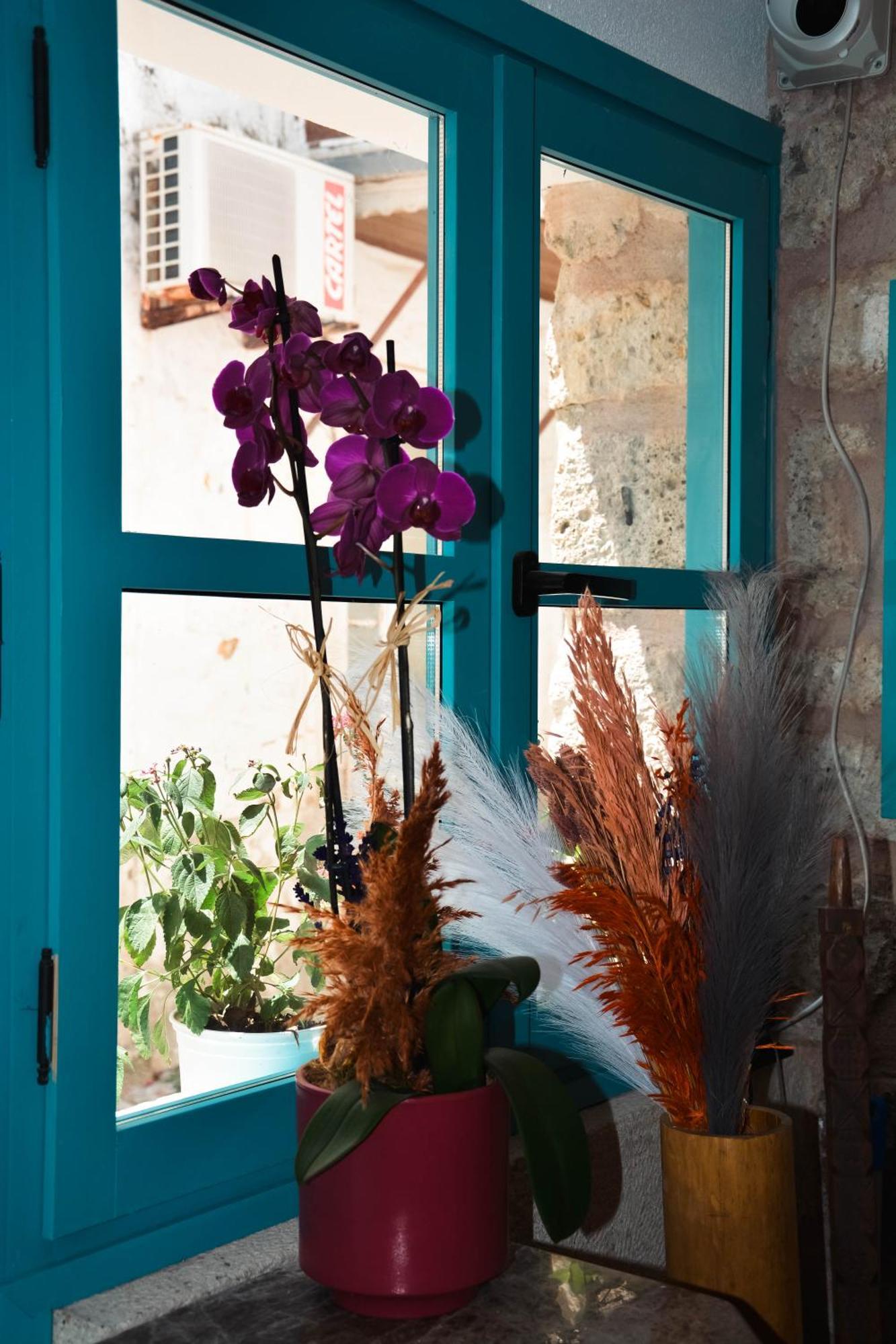 Casa Alegre אלאקאטי מראה חיצוני תמונה